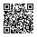To view this 2009 FLEETWOOD AMERICAM ALLEGIANCE 40X Cleburne TX from RV Depot - Bad Credit RV Dealer - BHPH RV's, please scan this QR code with your smartphone or tablet to view the mobile version of this page.