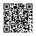 To view this 2015 FREEDOM EXPRESS 305RKDS Cleburne TX from RV Depot - Bad Credit RV Dealer - BHPH RV's, please scan this QR code with your smartphone or tablet to view the mobile version of this page.